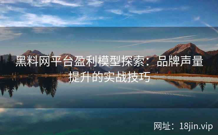 黑料网平台盈利模型探索：品牌声量提升的实战技巧