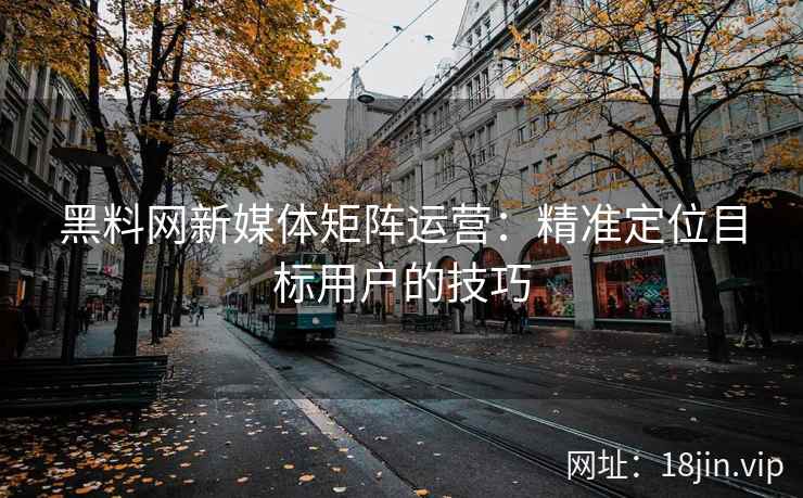 黑料网新媒体矩阵运营：精准定位目标用户的技巧