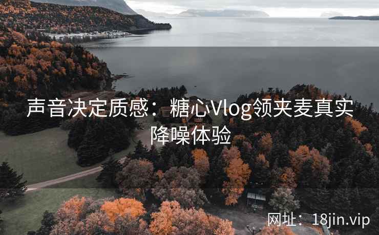 声音决定质感：糖心Vlog领夹麦真实降噪体验