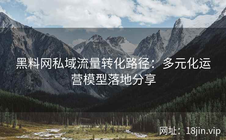 黑料网私域流量转化路径：多元化运营模型落地分享