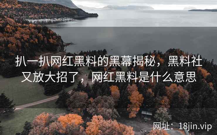 扒一扒网红黑料的黑幕揭秘，黑料社又放大招了，网红黑料是什么意思