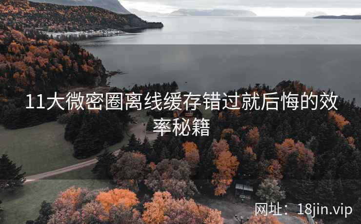 11大微密圈离线缓存错过就后悔的效率秘籍