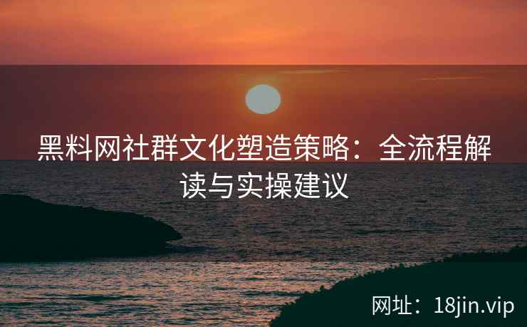 黑料网社群文化塑造策略：全流程解读与实操建议