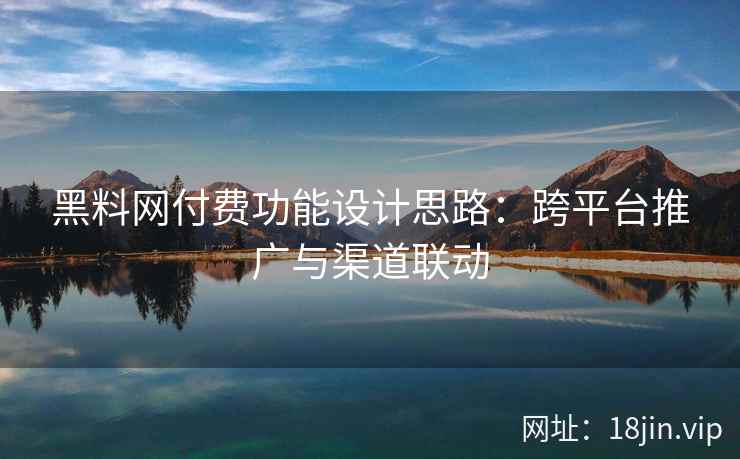 黑料网付费功能设计思路：跨平台推广与渠道联动