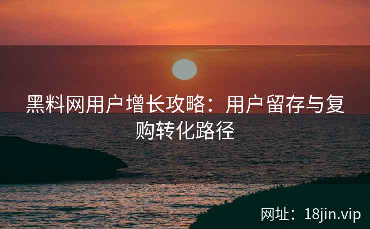 黑料网用户增长攻略：用户留存与复购转化路径