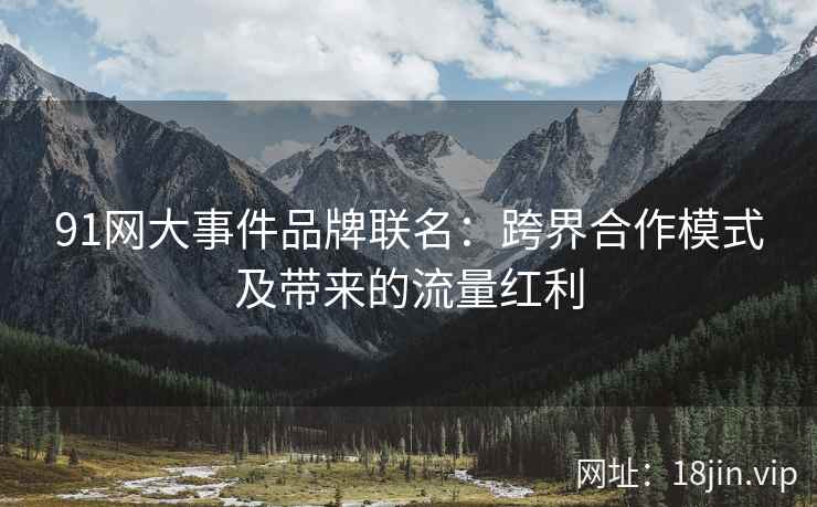 91网大事件品牌联名：跨界合作模式及带来的流量红利