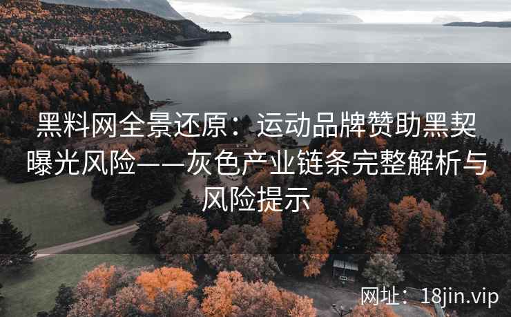 黑料网全景还原：运动品牌赞助黑契曝光风险——灰色产业链条完整解析与风险提示