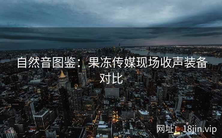 自然音图鉴：果冻传媒现场收声装备对比