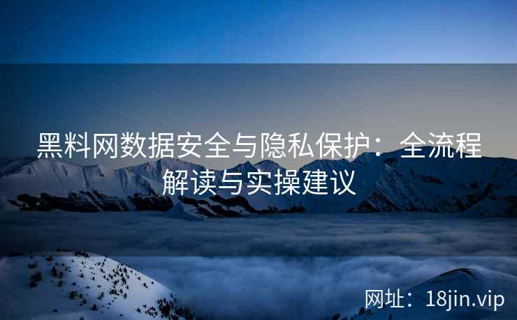 黑料网数据安全与隐私保护：全流程解读与实操建议